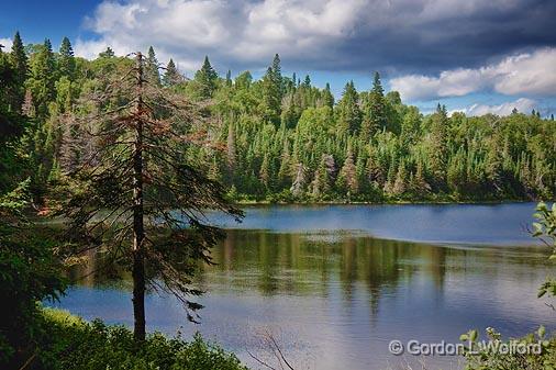 Backwoods Lake_01964.jpg